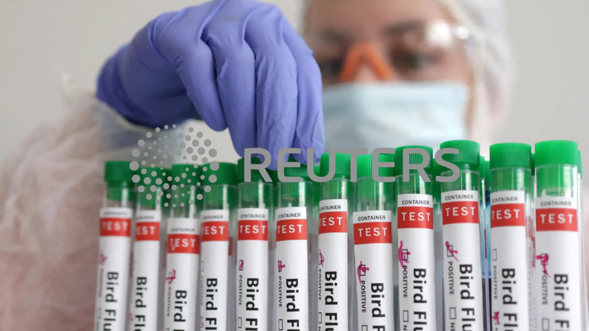 Una persona manipulando un tubo de ensayo con la etiqueta Gripe aviar  Reuters